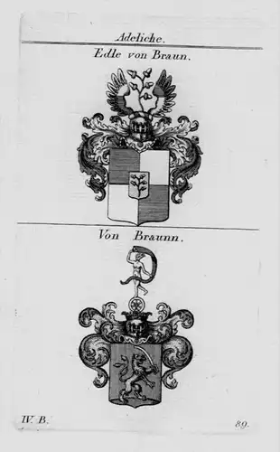 Braun Braunn Wappen Adel coat of arms heraldry Heraldik crest Kupferstich