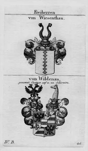 Wiesenthau Wildenau Wappen Adel coat of arms heraldry Heraldik Kupferstich