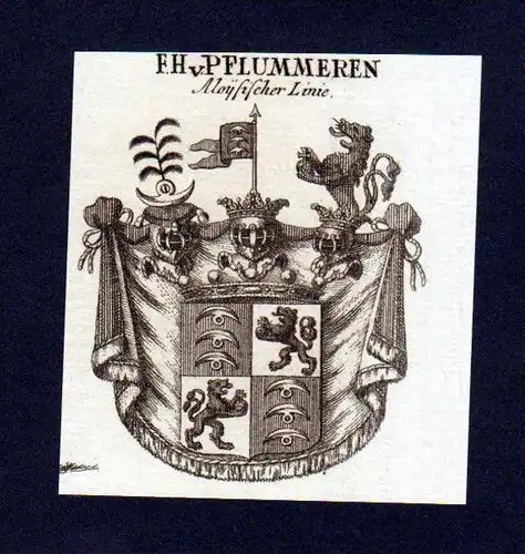 Freiherren von Pflummeren Kupferstich Wappen