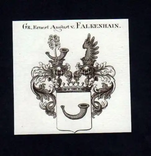 Graf Ernest August v Falkenhain Kupferstich Wappen