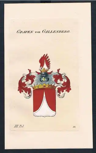 Grafen von Gallenberg Wappen Kupferstich Genealogie Heraldik coat of arms