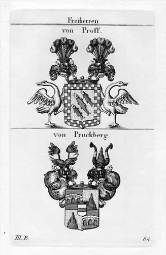 Proff Pruckberg - Wappen Adel coat of arms heraldry Heraldik Kupferstich