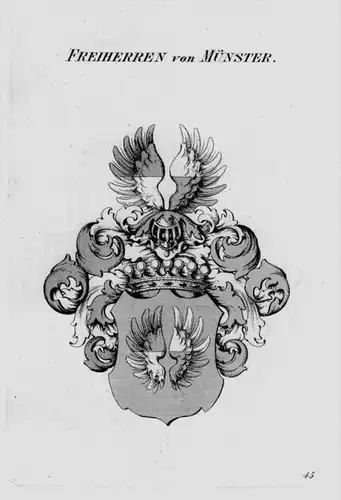 Münster Wappen Adel coat of arms heraldry Heraldik crest Kupferstich