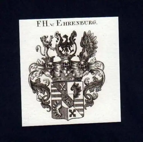 Freiherren v. Ehrenburg Kupferstich Wappen