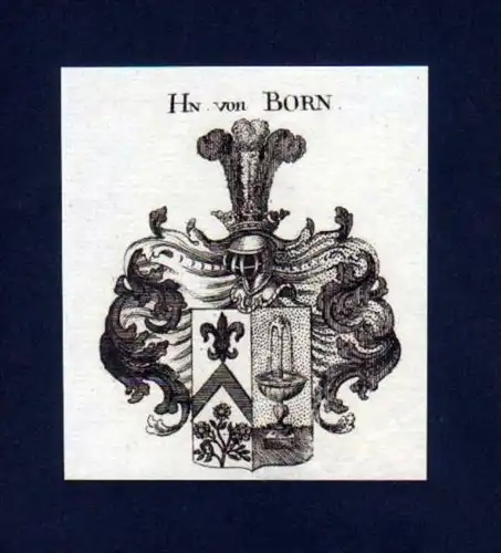 Herren v. Born Heraldik Kupferstich Wappen