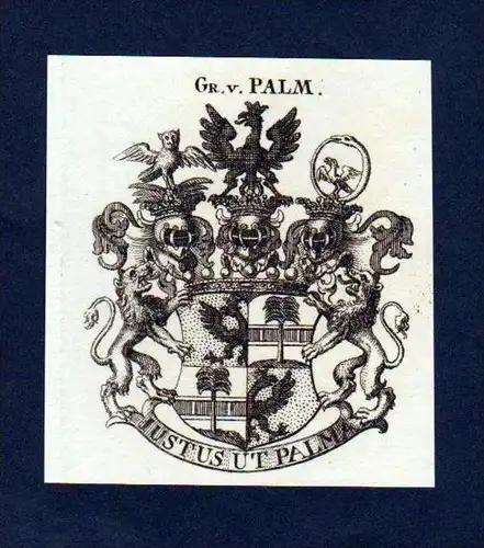 Grafen von Palm Original Kupferstich Wappen
