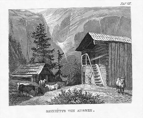 Sennhütte Bauernhaus Alpen Österreich Original  engraving