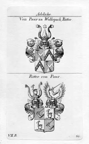 Paur zu Wollspach Wappen coat of arms Heraldik heraldry Kupferstich
