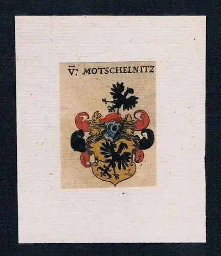 . von Motschelnitz Wappen coat of arms heraldry Heraldik Kupferstich