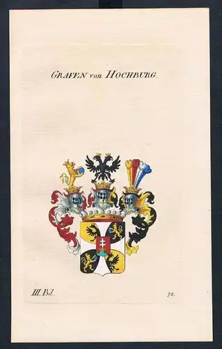 Grafen von Hochburg Wappen Kupferstich Genealogie Heraldik coat of arms
