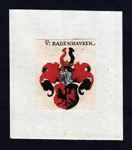 Radenhausen 17. Jh Wappen coat of arms heraldry Heraldik Kupferstich