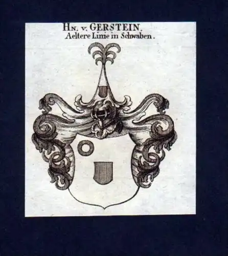 Herren v. Gerstein Heraldik Kupferstich Wappen