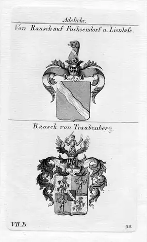 Rausch Fuchsendorf Lienlass Traubenberg Wappen Kupferstich