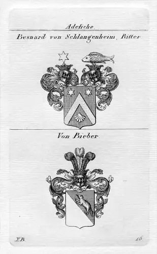 von Besnard Bieber Wappen Adel coat of arms heraldry Heraldik Kupferstich