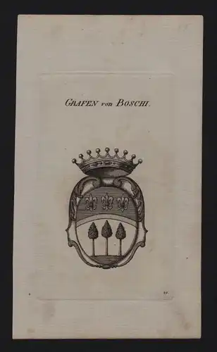 - Grafen von Boschi Wappen coat of arms Heraldik Genealogie Kupferstich