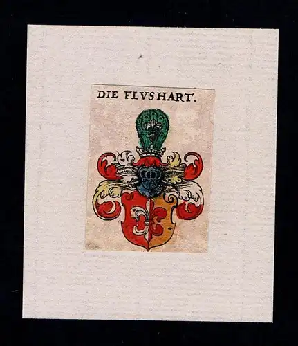 . - Flushart Flushardt Wappen coat of arms heraldry Heraldik Kupferstich