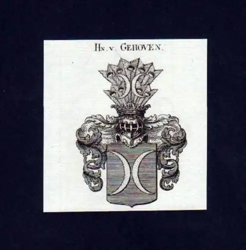 Herren v. Gehoven Heraldik Kupferstich Wappen