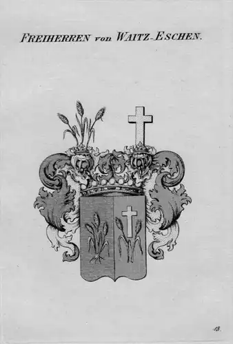 Waitz Eschen Wappen Adel coat of arms heraldry Heraldik crest Kupferstich