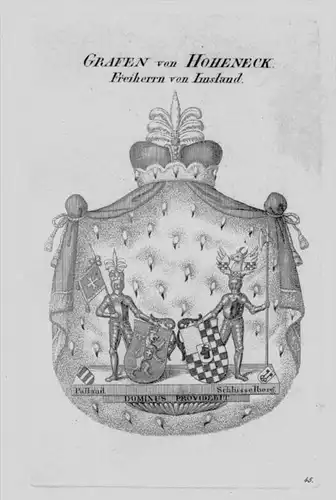 Hoheneck Wappen Adel coat of arms heraldry Heraldik crest Kupferstich