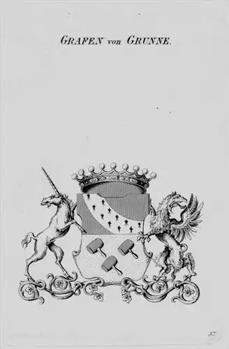 Grunne Wappen Adel coat of arms heraldry Heraldik crest Kupferstich