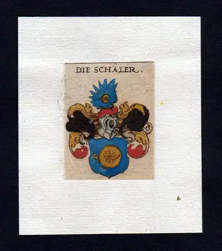 Schäler Schäl 17. Jh Wappen coat of arms heraldry Heraldik Kupferstich