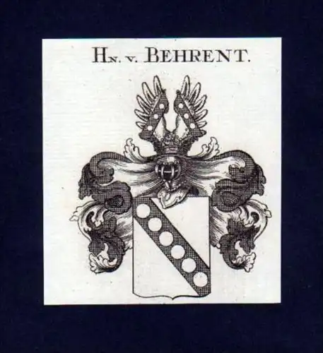Herren v. Behrent Behrendt Kupferstich Wappen Heraldik coat of arms