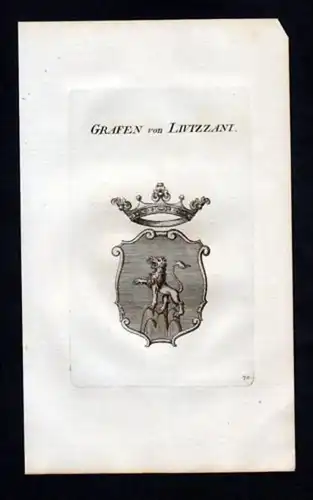 Grafen v Livizzani Heraldik Wappen Kupferstich