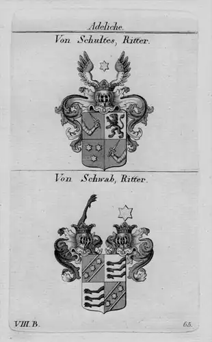 Von Schultes Schwab Wappen Adel coat of arms heraldry crest Kupferstich