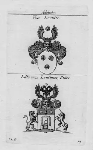 Lesuire Leuthner Wappen Adel coat of arms heraldry Heraldik Kupferstich