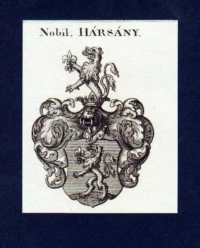 Herren Harsany Original Kupferstich Wappen Heraldik coat of arms