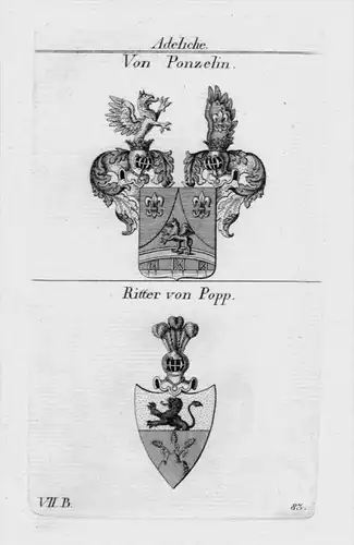 Von Ponzelin Popp Wappen Adel coat of arms heraldry Heraldik Kupferstich
