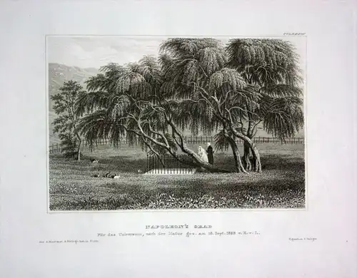 Longwood House St. Helena Insel Napoleon Grab engraving