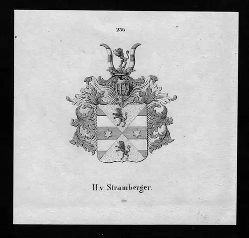 Stramberger Wappen Adel coat of arms heraldry Heraldik Lithographie