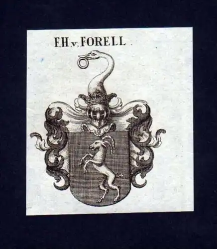 Freiherr v. Forell Forel Kupferstich Wappen