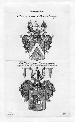 Elkan Elkansberg Fallot Wappen coat of arms heraldry Heraldik Kupferstich