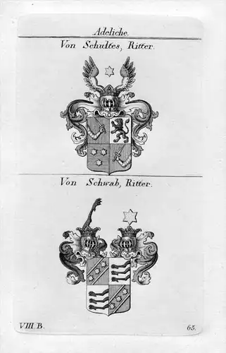 Schultes / Schwab - Wappen Adel coat of arms heraldry Heraldik Kupferstich