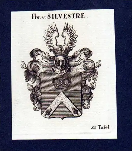 Herren von Silvestre Kupferstich Wappen engraving Heraldik crest