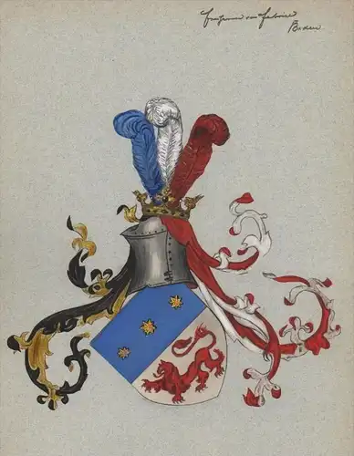 Baden Freiherren von Fabrice Wappen Genealogie genealogy Aquarell