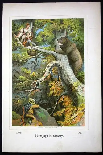 "Bärenjagd in Conway" - Amerika Jagd Bär Lithographie lithography