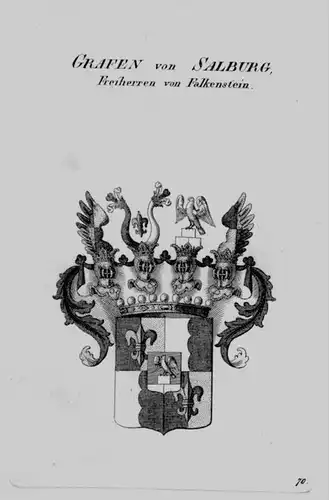 Salburg Wappen Adel coat of arms heraldry Heraldik crest Kupferstich