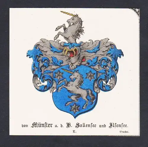 . Münster Sallensee Ilsensee Wappen Heraldik coat of arms heraldry Chromo