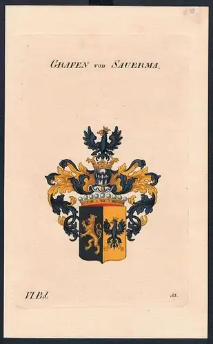 Grafen von Sauerma Wappen Kupferstich Genealogie Heraldik coat of arms