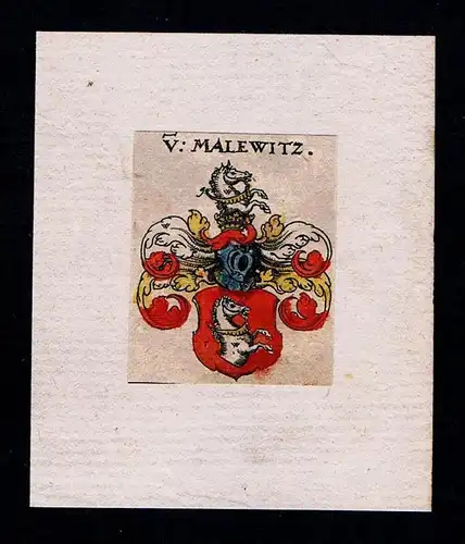 . - von Malewitz Wappen Adel coat of arms heraldry Herladik Kupferstich