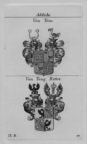 Tein Teng Wappen Adel coat of arm heraldry Heraldik crest Kupferstich