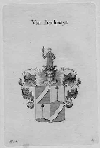 Bachmayr Wappen Adel coat of arms heraldry Heraldik crest Kupferstich
