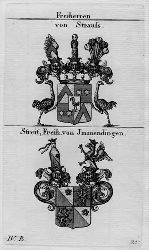 Strauss Streit Wappen Adel coat of arms heraldry Heraldik crest Kupferstich