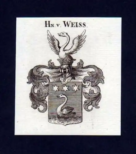 Herren v. Weiss Weiß Heraldik Kupferstich Wappen