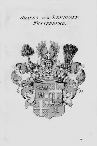 Leiningen Wappen Adel coat of arms heraldry Heraldik crest Kupferstich