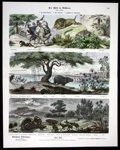 Löwe Nilpferd Krokodil Hyäne Tierwelt Afrika Atlas Münchener Bilderbogen