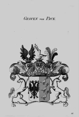 Pace Wappen Adel coat of arms heraldry Heraldik crest Kupferstich